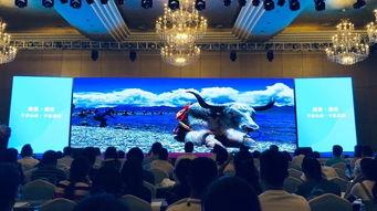 山南雅砻数字影院订票